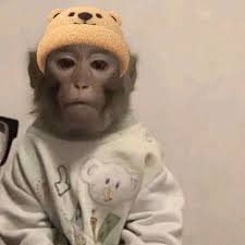 Harry Suárez🥷🏼 (@user_777jaja)