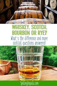 What S The Difference Between Seltzer And Tonic Water Bourbon And Rye Neat And Straight Up And Just How Do You Mudd In 2020 Tonic Water Cocktails Digestive Bitters