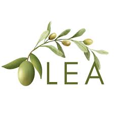 Image result for Olea