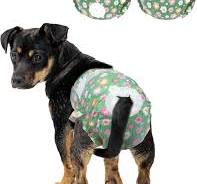 Amazon.com : Pet Soft Dog Diapers Female, Disposable Female ...