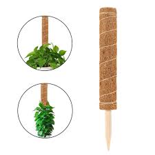 Well, here are top 10 plants that are perfect for moss stick. Coir Totem Pole Safe Plant Support Extension Moss Stick For Climbing Indoor Plants Buy At A Low Prices On Joom E Commerce Platform
