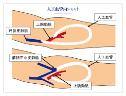 VAクリニック愛知