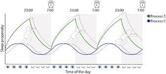 The Role Of The Circadian System In The Etiology And Pathophysiology Of Adhd Time To Redefine Adhd Springerlink