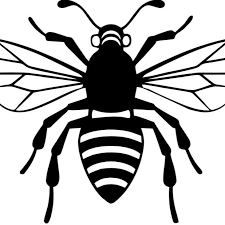 Bee's knees definition at dictionary.com, a free online dictionary with pronunciation, synonyms and translation. The Bee S Knees Hair Salon Home Facebook