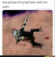 Rare Picture Of My Last Brain Cell In An Exam Ifunny My Hero My Hero Academia Memes My Hero Academia Episodes Mha + deku and bakugou's mum react to bye bye meme. my hero academia memes