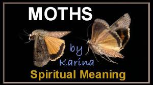 Black And White Spotted Moth Meaning Spiritual Meaning Of Moths Moth Meaning Moth Pet Signs