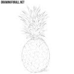 How To Draw A Guava Drawingforall Net These steps will help you start to explore how to draw basic. how to draw a guava drawingforall net
