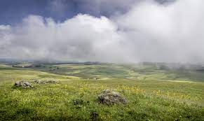 Les paysages - Parc naturel régional de lAubrac