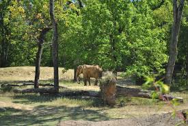 Things to do in birmingham. 25 Best Things To Do In Birmingham Al The Crazy Tourist