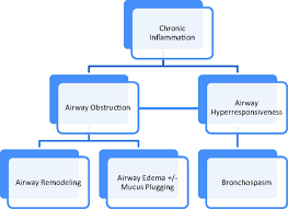 Some of the most common are chronic obstructive pulmonary disease (copd), asthma, occupational lung diseases and pulmonary hypertension. Asthma Chronic Obstructive Pulmonary Disease Copd And The Overlap Syndrome American Board Of Family Medicine