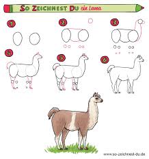 So Zeichnest Du Ein Lama Lamas Sind Susse Tiere Und Gerade Richtig Im Trend Folge Der Schritt Fur Schritt An Susse Tiere Zeichnen Zeichenschule Zeichnen Lernen