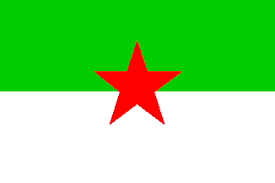 These symbols often appear in yellow and red. the current vietnamese flag did follow the same original flag of chinese liberation army. Red Star Football Club France