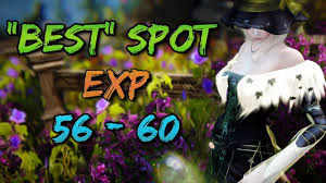 Best Grinding Spots For Exp At Lvls 56 59 In 2019 Black Desert Online