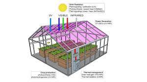 Check spelling or type a new query. Transparent Solar Cells Don T Steal Light From Greenhouse Crops