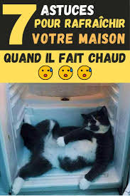 7 Astuces Pour Rafraichir Votre Chambre Et Votre Maison Quand Il Fait Chaud En 2020 Rafraichir Astuces Il Fait Chaud