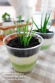 violet s kitchen 紫羅蘭的爱心厨房 盆栽香兰布丁potted plant pandan pudding asian desserts desserts snacks