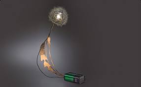 dandelight real dandelions lit up by drift light sculpture dandelion light light