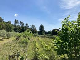 Photo 71 Maisons en Location  Belcodne (13720) : Maisons  Louer