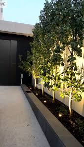 Garden Uplights Nadia Gill Landscape Architect Nadia Gill Landscape Architect Garden Uplights Outdoor Gardens Design Contemporary Garden Design