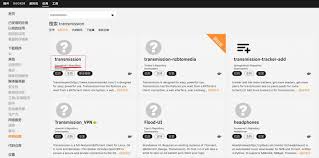 非WEB-DL资源站| NAS避坑记第二篇：Unraid安装Transmission