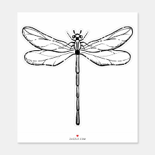 Vintage Dragonfly Black And White Sticker Zazzle Com In 2021 Dragonfly Drawing Wrist Tattoo Cover Up Vintage Dragonfly