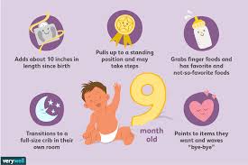 your 9 month old baby development milestones