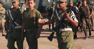 La guerra del cenepa, o conflitto dell'alto cenepa, fu un conflitto militare occorso tra le forze armate del perù e dell'ecuador, tra il 26 gennaio e il 28 febbraio del 1995, quando venne cessato il fuoco dopo alcuni giorni dall'accordo di montevideo.non ci fu una dichiarazione formale di guerra tra i due paesi, e lo scontro non si diffuse lungo tutto il confine comune. La Guerra De Vecinos Que Nadie Recuerda