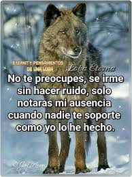 Pin De Manuel Nolasco En Frases Frases Sabias Frases De Optimismo Frases Bonitas