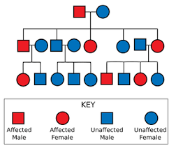 Huntingtons Disease And Cystic Fibrosis Biology And