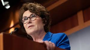 Only in Las Vegas: Dog