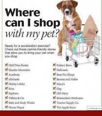 Famous Resolved How To Train Your Dogs Click This Link Here Now In 2020 Pets Dog Training Obedience Training Your Dog