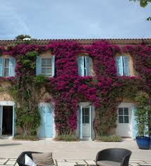 Porquerolles My Favourite Hotel Island Avec Images Ile De Porquerolles Porquerolles