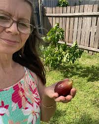 I'm no farmer but I grew these delicious figs in my own back yard☀️🧤💦🟰🌿  #freshfigs #farmer #freshfood #growyourown #sotasty #summer #lotsofsun  #lotsofrain