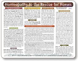 Homeopathy Guide For Horses Laminated Chart Homeopathic