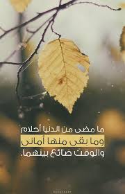 قال الإمام ابن القيم رحمه الله تعالى في كتابه النفيس الفوائد ص 48 49 ما مضى من الدنيا أحلام وما بقى منها أماني quran verses islamic quotes qoutes
