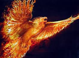 Check spelling or type a new query. Ave Fenix Fondos De Pantalla En 4k Hd Fotosdelanaturaleza Es