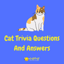 Even though each species has its own distinct looks and characteristics. 20 Fun Free Cat Trivia Questions And Answers Laffgaff