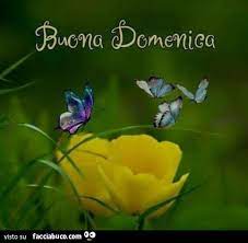 Felice femminile biglietto di auguri di compleanno con fiori. Farfalle Sui Fiori Buona Domenica Facciabuco Com