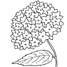Las imagenes de flores para colorear son ideales para que los hijos despierten esa creatividad artistica. Dibujos De Flores Para Pintar Y Colorear