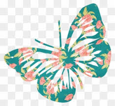 Butterfly drawing butterfly wallpaper butterfly painting poster design aesthetic iphone wallpaper aesthetic wallpapers botanical illustration butterfly illustration beautiful butterflies. Butterfly Desktop Wallpaper Clip Art Butterfly Clipart Transparent Background Free Transparent Png Clipart Images Download