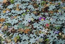 Adult Puzzle Club @ Midland