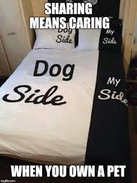 Sharing is caring memes & gifs. The Best Sharing Is Caring Memes Memedroid