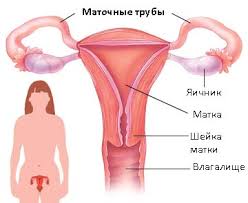 Pain, as a rule, is localized in the lower abdomen and. Adnexitis What Are The Causes Symptoms And Treatment Of Adnexitis In Women