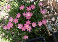 Most solved #jigsaw #puzzle on jigidi! Tl2uuxjipj Xem