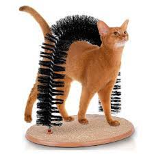 Self Grooming Massage Cat Toy Felines Dig It Video In 2020 Cat Scratcher Cat Grooming Cat Toys