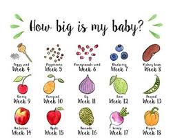 My fruits oficial | comer frutas faz bem! How Big Is My Baby Fruits And Vegetables Infographic
