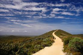 The eight level process of becoming a bro. Lomi Ke Ala HÅku Remember The Way