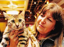 Cats take center stage at competition in Fairhaven