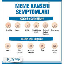 Instagram Meme Kanseri Alternatif Saglik Menopoz