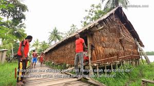 Setiap kampung punya satu rumah bujang dan banyak rumah keluarga. Indonesia Kaya Rumah Bujang Facebook